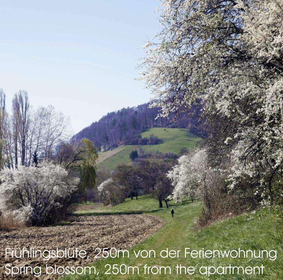 Passivhaus 750M Vom Bodensee -- 2X E-Bike Inklusive -- Neubau 2019 Am Ortsrand Ohningen Exterior photo